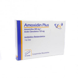 Amoxidin Plus