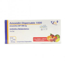 Amoxidin Dispersable 1000