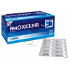 AMOXICILINA 1 GR SANAT